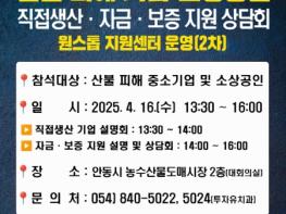안동시, 산불피해 기업 위한  ‘원스톱 지원센터(2차)’설명회 개최 기사 이미지