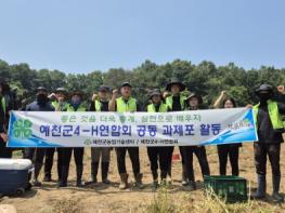 예천군 4-H 연합회, 공동 과제포 감자 수확 실시 기사 이미지