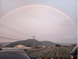 [경북온포토] 가을을 알리는 반가운 무지개 기사 이미지