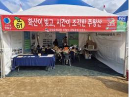 청송 사과 속으로,, 주왕산이 함께합니다! 기사 이미지