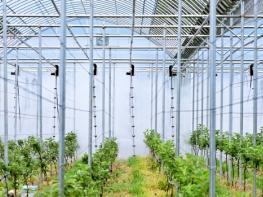 청송군, 재해대응형 과수재배시설 공모사업 20개소 선정, 70억 확보 기사 이미지