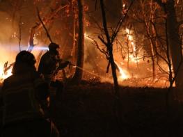 “작은 불씨가 대형 산불로”... 안동소방서, 봄철 산불 예방·대응 총력 기사 이미지
