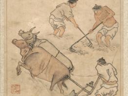 곡우(穀雨), 시절(時節)을 품은 봄날의 밥상 기사 이미지