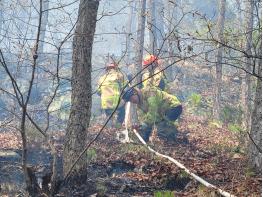 [안동 산불] 안동시 예안면 동천리 산불 발생... 2시간 만에 완전 진화 기사 이미지