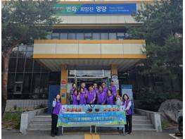 영양군 수비면지역사회보장협의체, ‘단짝 콩나물’ 반려식물 키우기 행사 개최 기사 이미지