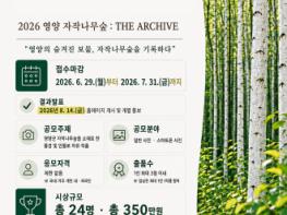 영양 자작나무숲 온라인 사진 콘테스트 개최 기사 이미지