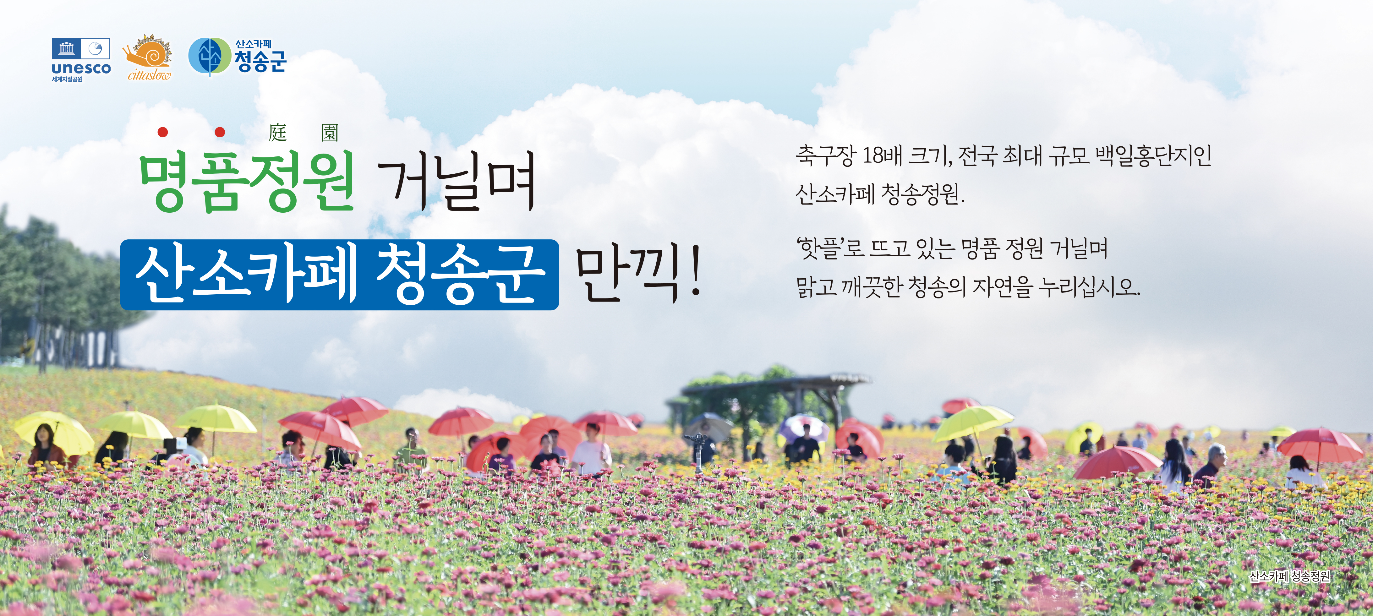 이미지1