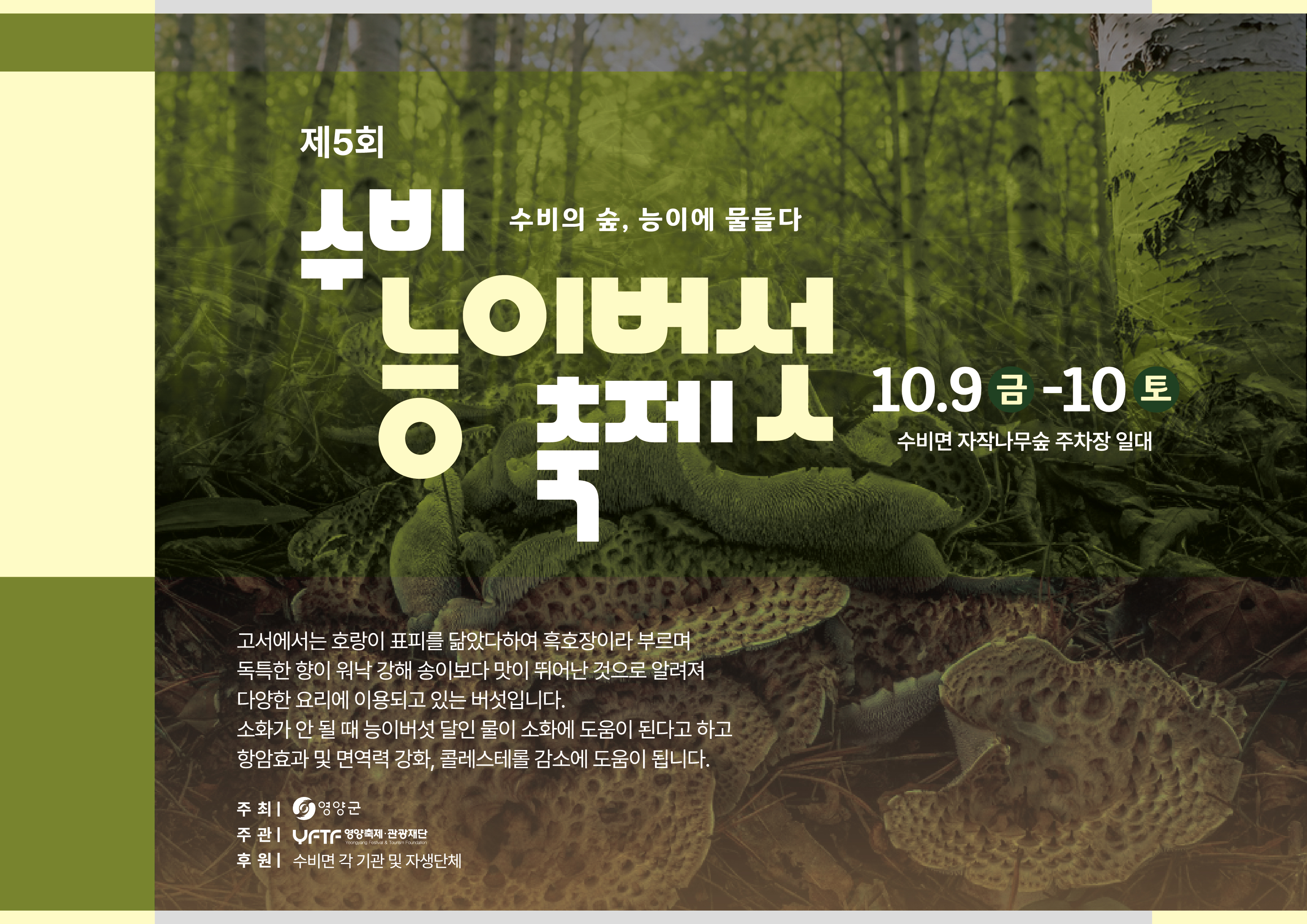 이미지1