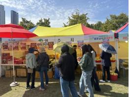 영주시, 영호남 문화대축전서 풍기 인삼·홍삼 우수성 알려 기사 이미지